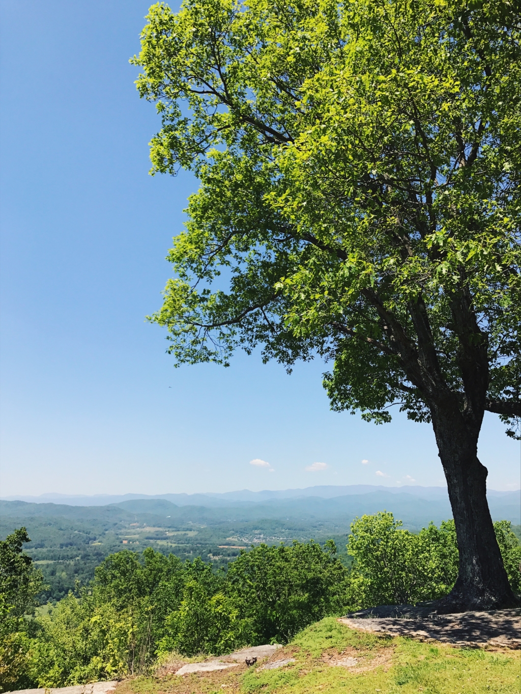 The Southern Style Guide's Guide to Flat Rock, North Carolina The Southern C