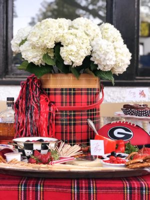 The Southern Coterie Blog Tailgate Tips (Styling and Photography by Lydia Menzies)