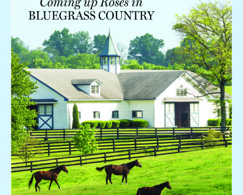 Southern Lady: The Southern (C)ity Guide – May/June
